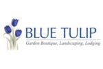 Blue Tulip Lodging