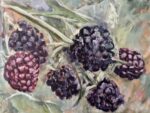 Blackberries 2023, oil on canvas, 18 x 24