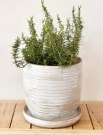 L.Bee Ceramics – clean, modern designs on daily use pottery for the home